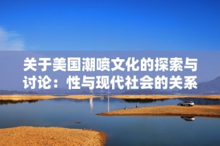 關于美國潮噴文化的探索與討論：性與現代社會的關系研究
