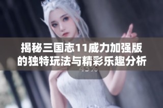 揭秘三國志11威力加強版的獨特玩法與精彩樂趣分析