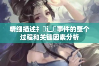 精細(xì)描述扌喿辶畐事件的整個(gè)過程和關(guān)鍵因素分析