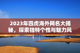 2023年四虎海外網名大揭秘，探索獨特個性與魅力風采