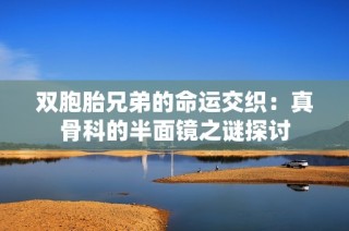 雙胞胎兄弟的命運(yùn)交織：真骨科的半面鏡之謎探討