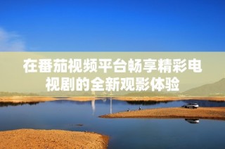 在番茄視頻平臺(tái)暢享精彩電視劇的全新觀影體驗(yàn)