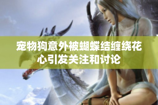 寵物狗意外被蝴蝶結纏繞花心引發關注和討論