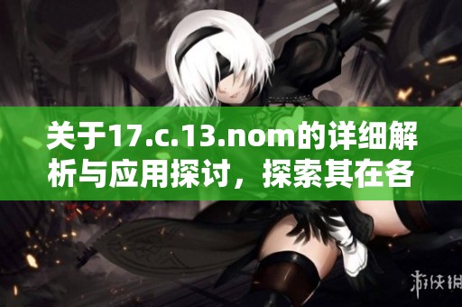 關于17.c.13.nom的詳細解析與應用探討，探索其在各領域的影響及發展潛力