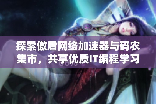 探索傲盾網絡加速器與碼農集市，共享優質IT編程學習資源