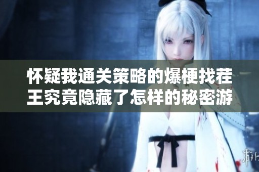懷疑我通關策略的爆梗找茬王究竟隱藏了怎樣的秘密游戲技巧