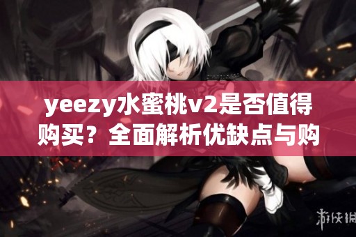 yeezy水蜜桃v2是否值得購買？全面解析優缺點與購買建議