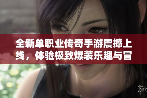 全新單職業傳奇手游震撼上線，體驗極致爆裝樂趣與冒險之旅