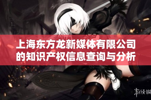 上海東方龍新媒體有限公司的知識產權信息查詢與分析指南