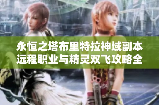 永恒之塔布里特拉神域副本遠程職業與精靈雙飛攻略全解析