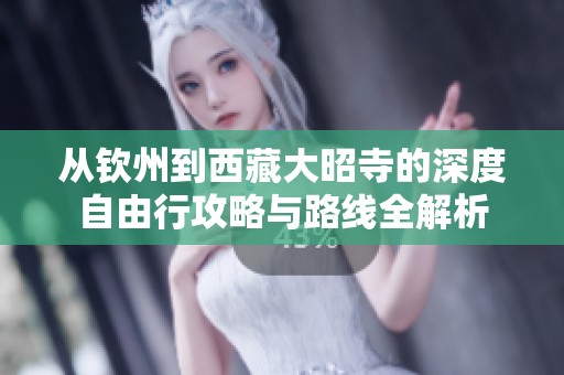 從欽州到西藏大昭寺的深度自由行攻略與路線(xiàn)全解析