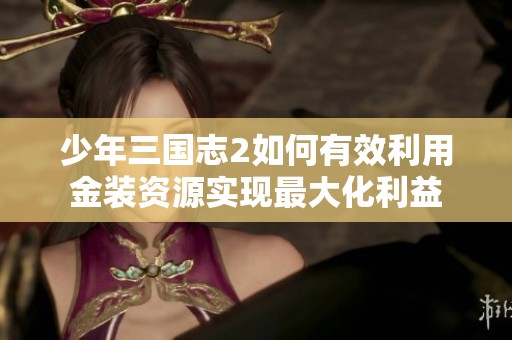 少年三國志2如何有效利用金裝資源實現最大化利益