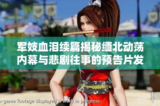 軍妓血淚續篇揭秘緬北動蕩內幕與悲劇往事的預告片發布