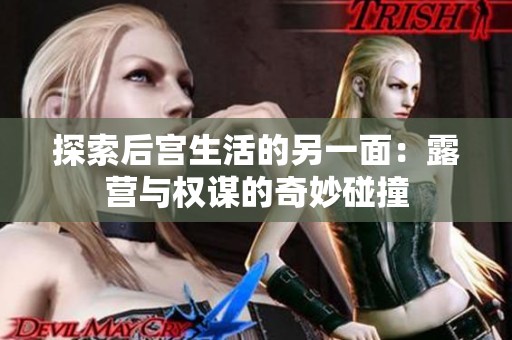探索后宮生活的另一面：露營與權謀的奇妙碰撞