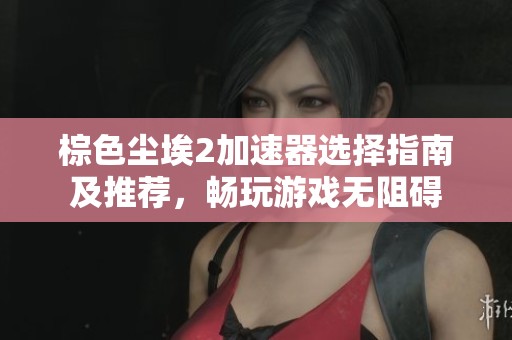 棕色塵埃2加速器選擇指南及推薦，暢玩游戲無阻礙