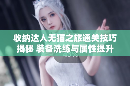 收納達人無貓之旅通關技巧揭秘 裝備洗練與屬性提升全攻略
