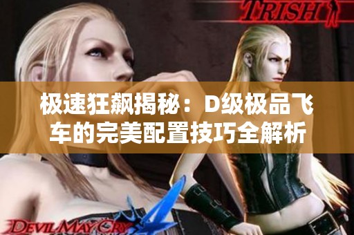 極速狂飆揭秘：D級極品飛車的完美配置技巧全解析