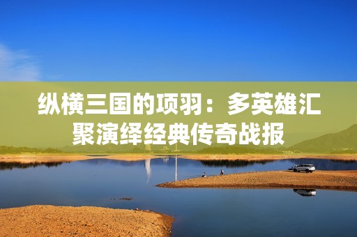 縱橫三國的項(xiàng)羽：多英雄匯聚演繹經(jīng)典傳奇戰(zhàn)報(bào)