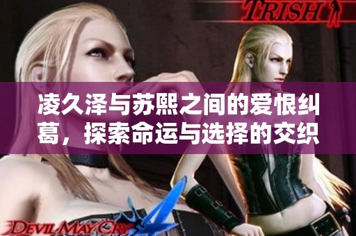 凌久澤與蘇熙之間的愛恨糾葛，探索命運與選擇的交織故事
