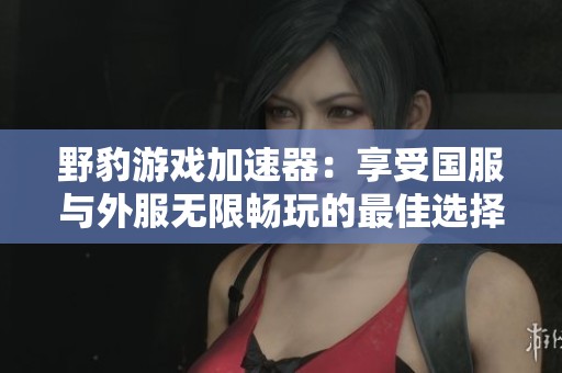 野豹游戲加速器：享受國服與外服無限暢玩的最佳選擇