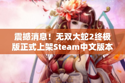 震撼消息！無雙大蛇2終極版正式上架Steam中文版本引發熱潮