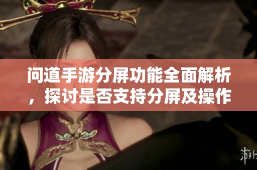 問道手游分屏功能全面解析，探討是否支持分屏及操作步驟詳解