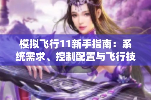 模擬飛行11新手指南：系統(tǒng)需求、控制配置與飛行技巧全面解析