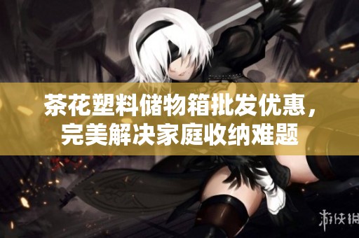 茶花塑料儲物箱批發優惠，完美解決家庭收納難題