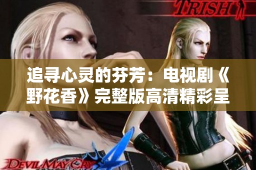 追尋心靈的芬芳：電視劇《野花香》完整版高清精彩呈現(xiàn)