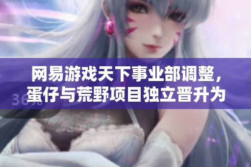 網易游戲天下事業部調整，蛋仔與荒野項目獨立晉升為新事業部