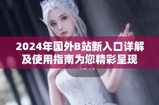 2024年國外B站新入口詳解及使用指南為您精彩呈現