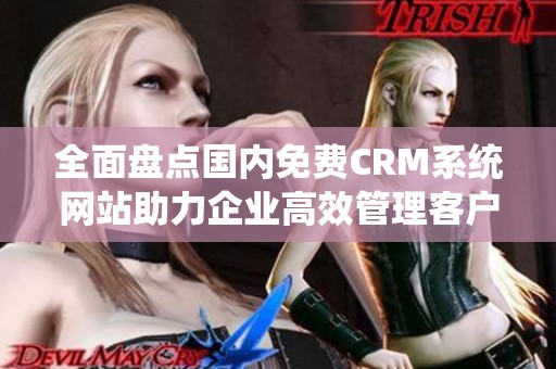 全面盤點國內免費CRM系統網站助力企業高效管理客戶關系