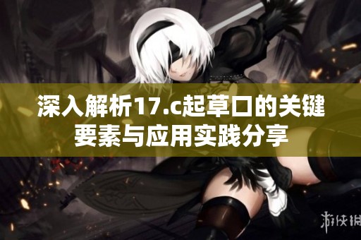深入解析17.c起草口的關鍵要素與應用實踐分享