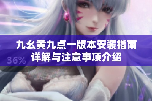 九幺黃九點一版本安裝指南詳解與注意事項介紹