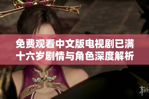 免費觀看中文版電視劇已滿十六歲劇情與角色深度解析