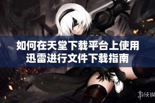 如何在天堂下載平臺上使用迅雷進行文件下載指南